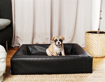 Bia Bett Hundekorb Original quadratisch schwarz