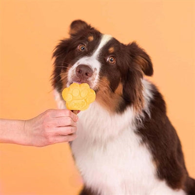 SNOOFL SNOOFL ICE MIX FÜR DOG Mango