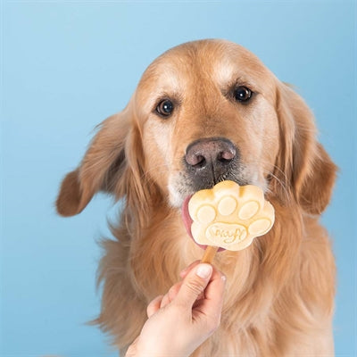 SNOOFL ICE MIX für Hunde Erdnussbutter
