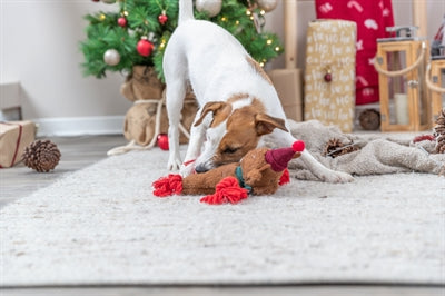 Trixie Weihnachts-Rentier-Plüsch-Zahnseide-Seil