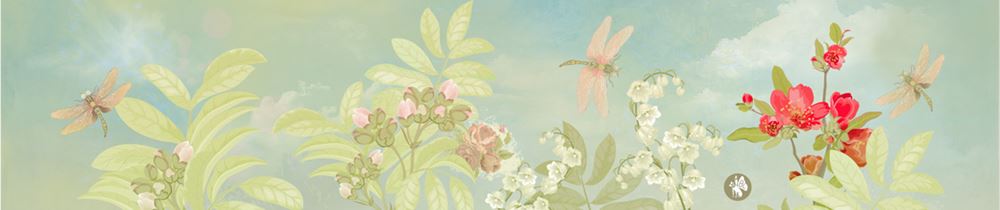 Rondo49 Musikstück: flowers 02 (romeo ju