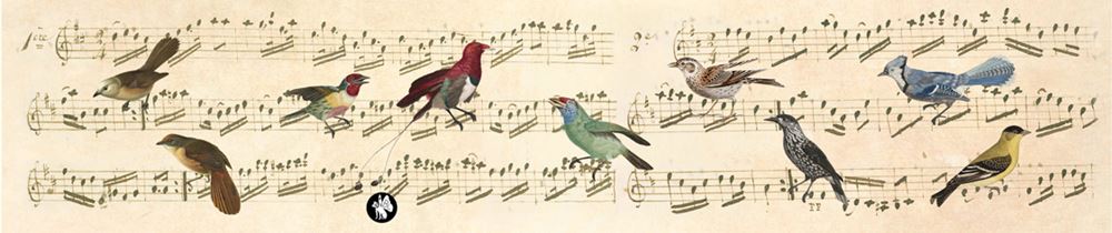Rondo61 Musik: Noten (wie schön, dass