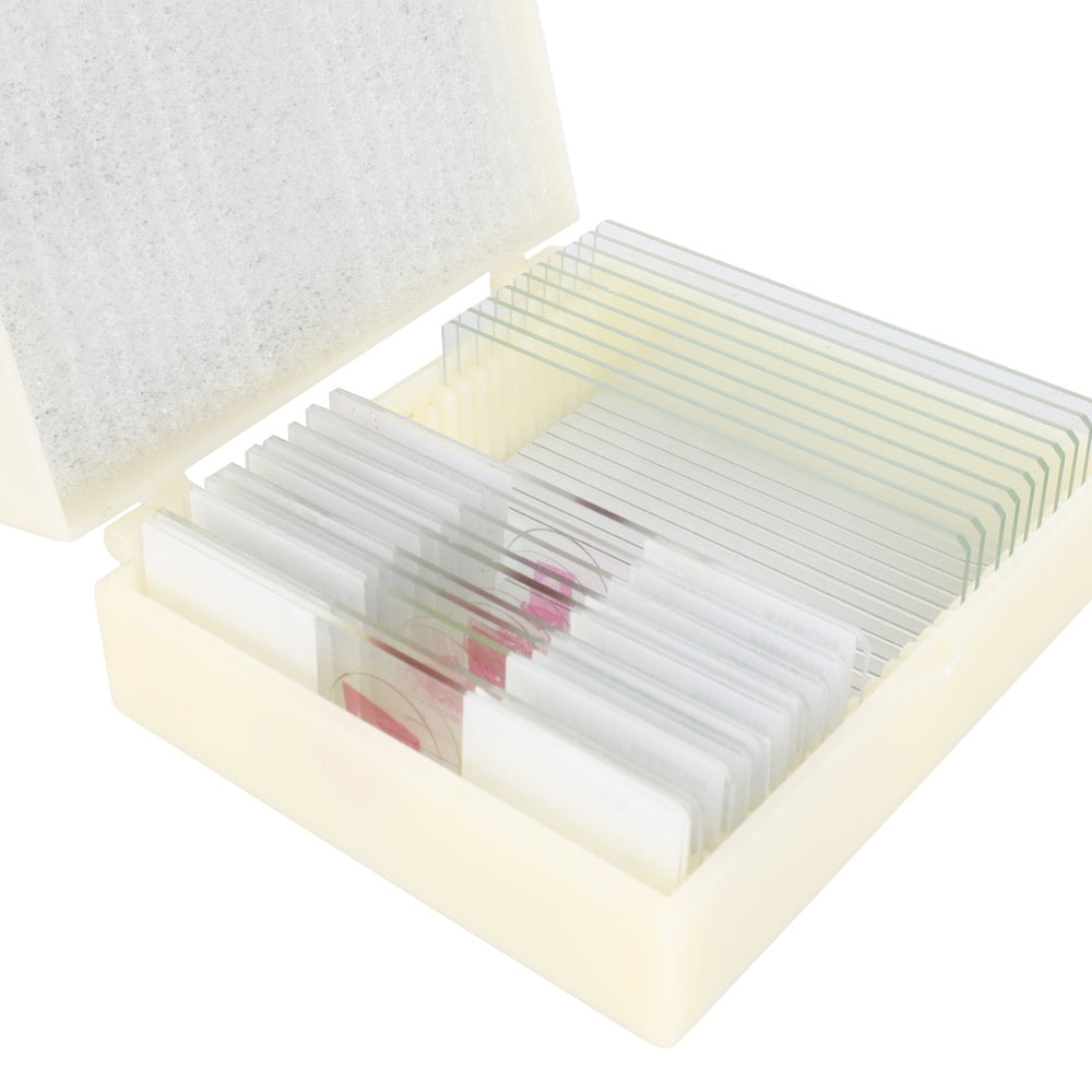 Konus-Vorbereitungsset ein Tropfen Wasser (10 Stück)