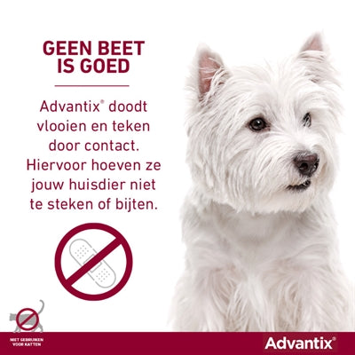 Elanco Advantix Spot auf