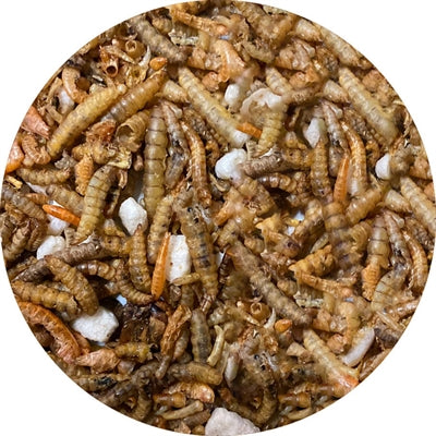 Utopia-Insektenmischung