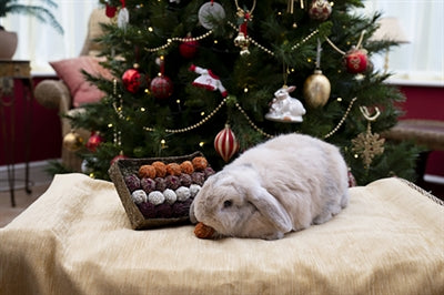 Cupid Comet Adventsgeschenk und Futtertrüffelschale