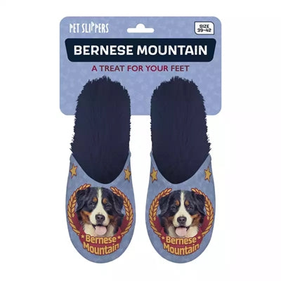 Slipper Berner Sennenhund dunkelblau