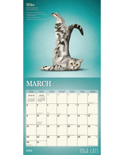 Kalender Yoga Katzen 2025