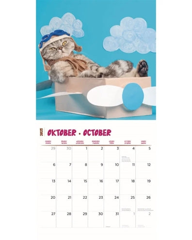 Kalender lustigste Katzen 2025