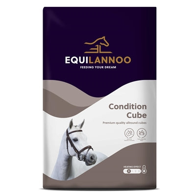 Equilannoo Zustandswürfel