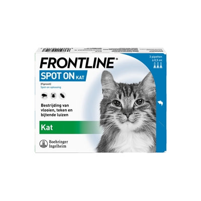 Die Katze an vorderster Front ist genau richtig
