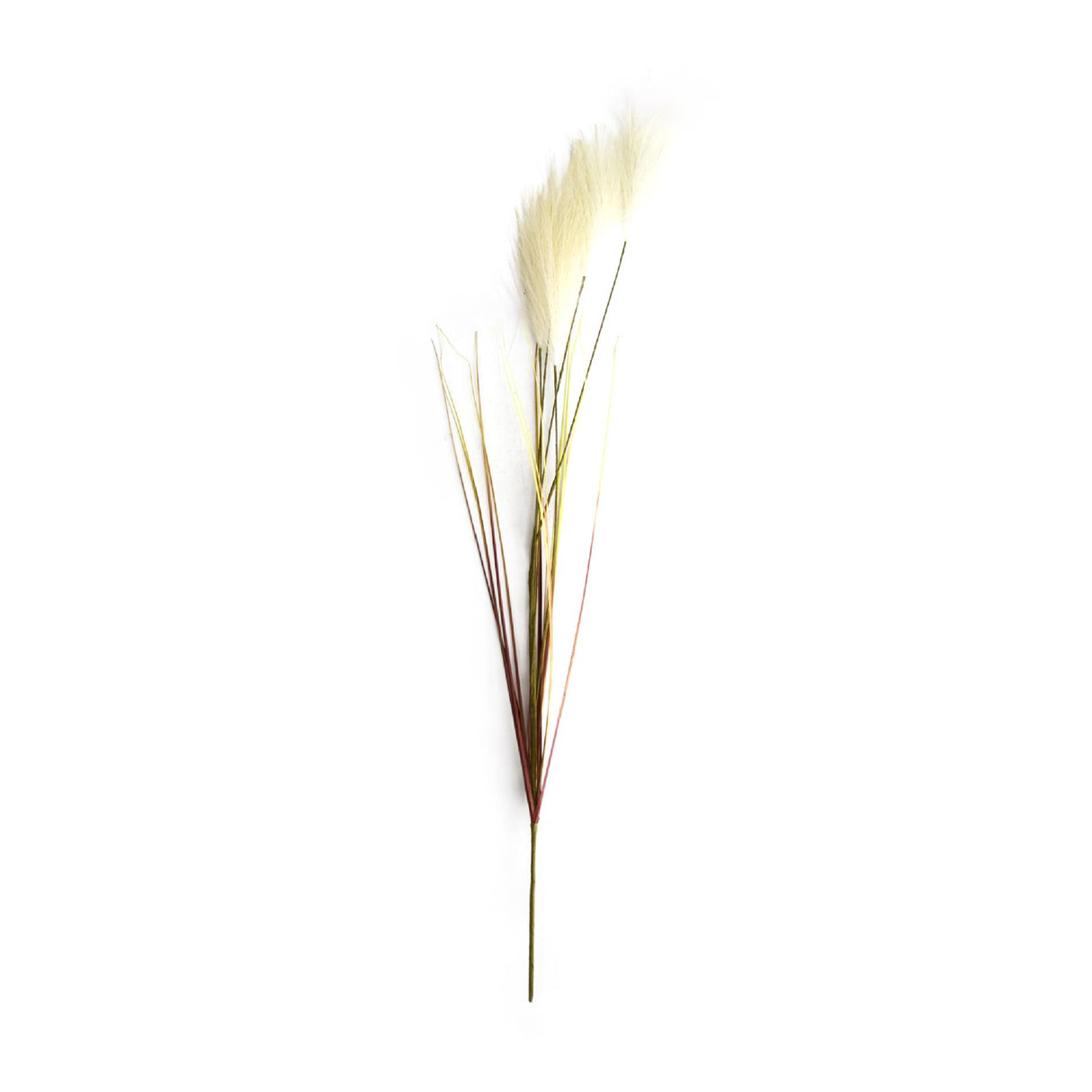 Dijk natural collections pluim kunststof 78x10x3cm wit