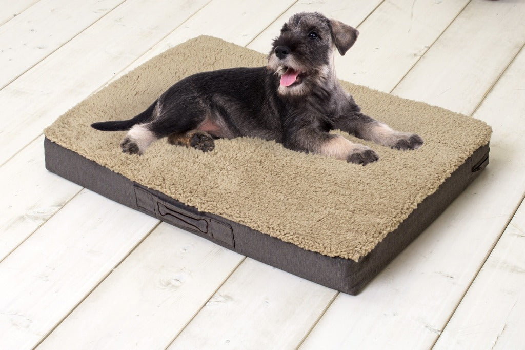 Sun Garden Buddy orthopädisches Hundekissen 72x50x8cm beige dunkelbraun