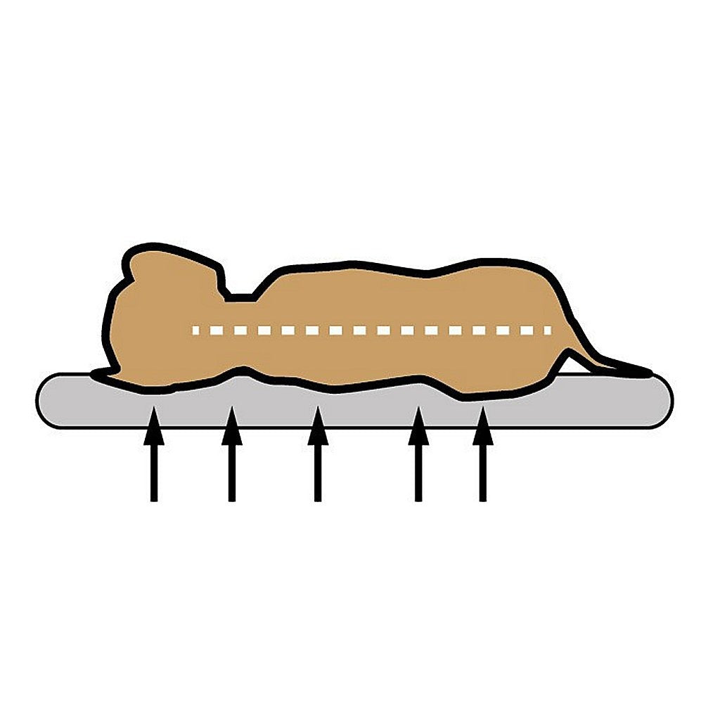 Sun Garden Buddy orthopädisches Hundekissen 120x72x10cm grau anthrazit