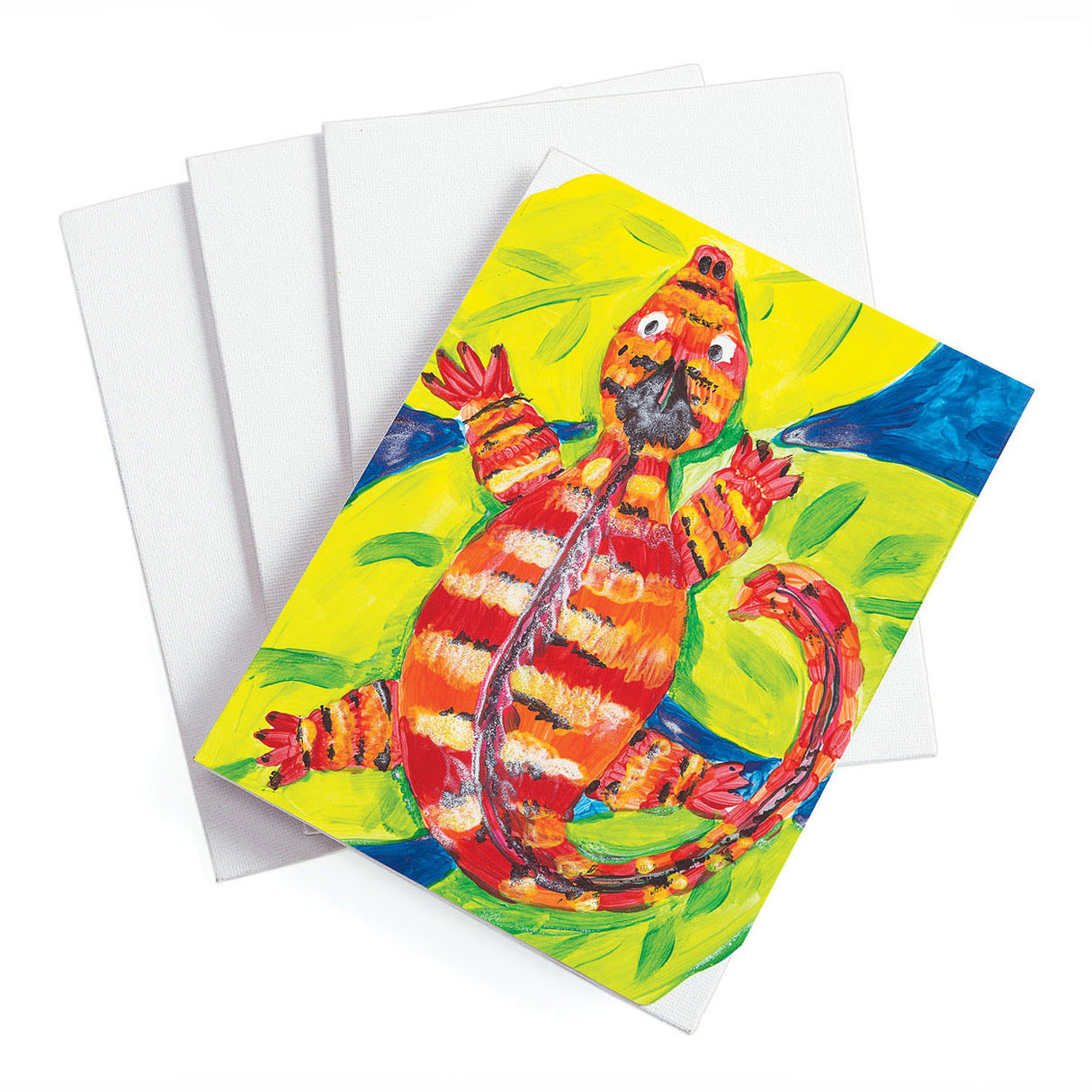 Colorations Canvas Baumwolle 20,5 x 15cm, 12 Stk.