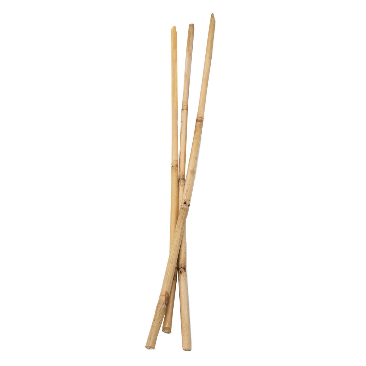 Farbgebiete - Bambusstäbe 50 cm, 3rd.