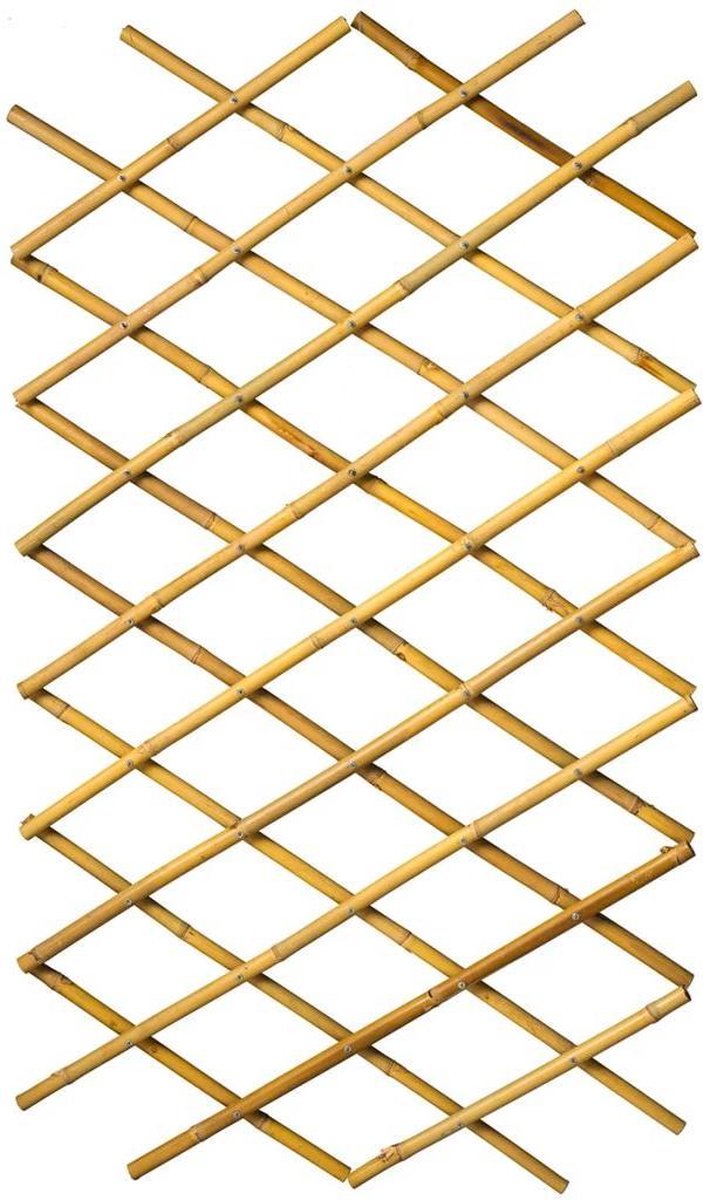 Nature Latwerk für Garten 70x180 cm Bambus 6040721