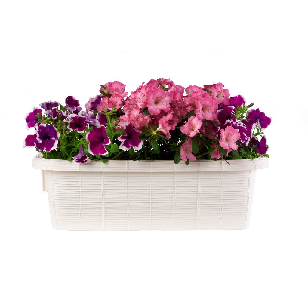Bama Fioriera Blumenbalkonkasten 60x20x18,5 cm weiß