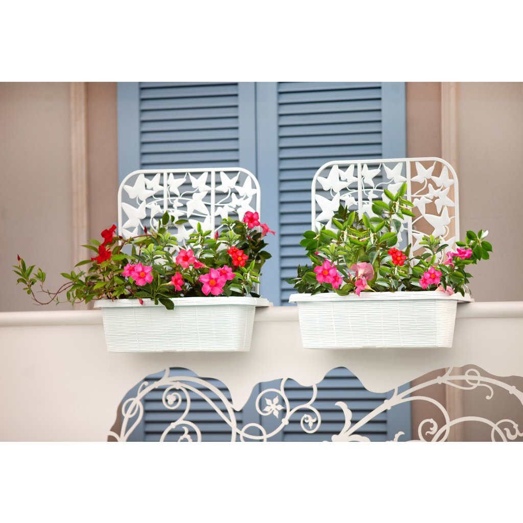 Bama Fioriera Blumen-Balkonkästen Sichtschutz 60x22x64 cm 2 Stück weiß