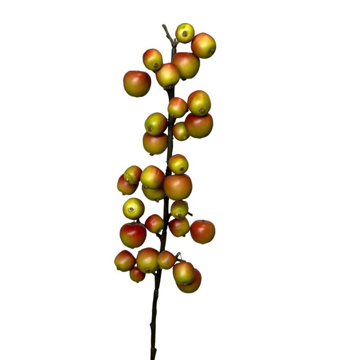 Roberts collection malus tak small 70cm groen rood appelboomtak
