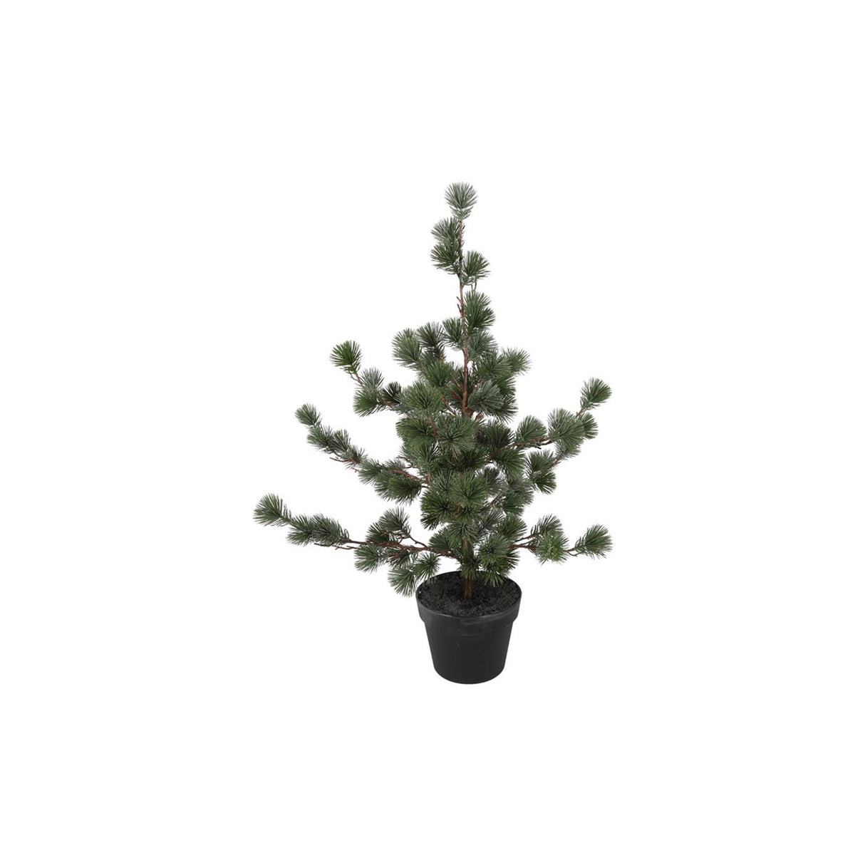 Countryfield Kunstpflanze Abies grün 60xh79cm