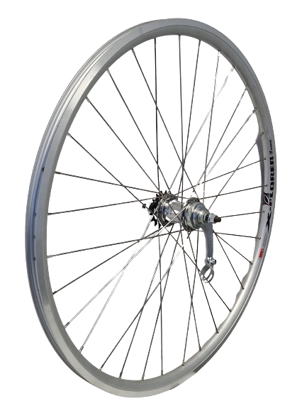 Kgs Hinterrad 28 Zoll (622) Aluminiumfelge, silberne Velamos-Bremsnabe