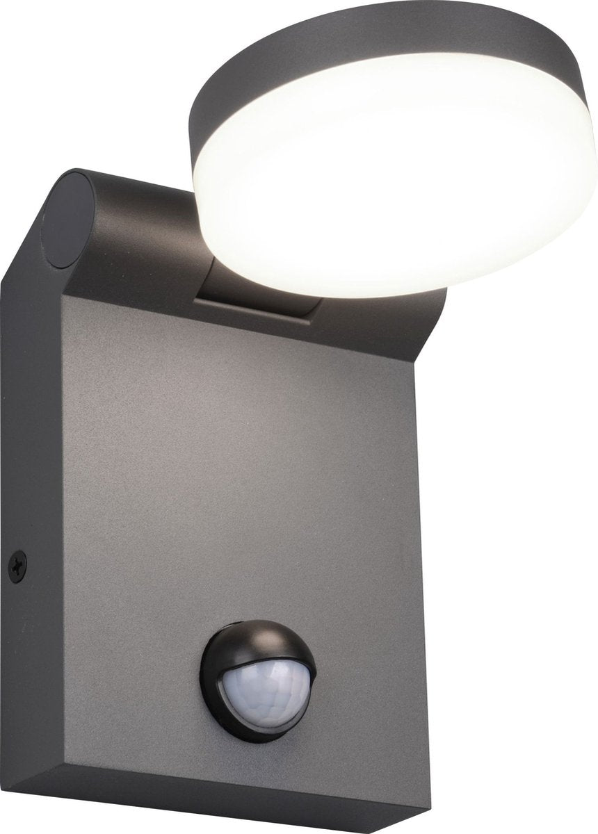 Trio adour - Wandleuchte - Anthrazit - inkl. 1x SMD 7,5W - Lichtfarbe einstellbar - Bewegungssensor - Außenbeleuchtung - IP44