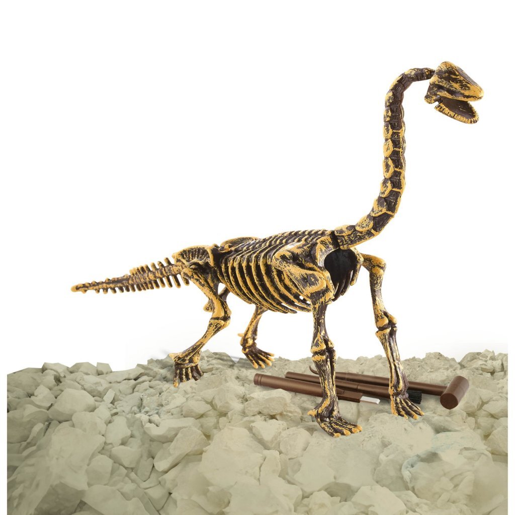 Dino-Basis Dinobase Dino-Schnitzerei Brachiosaurus 3D-Set | 3 Stück