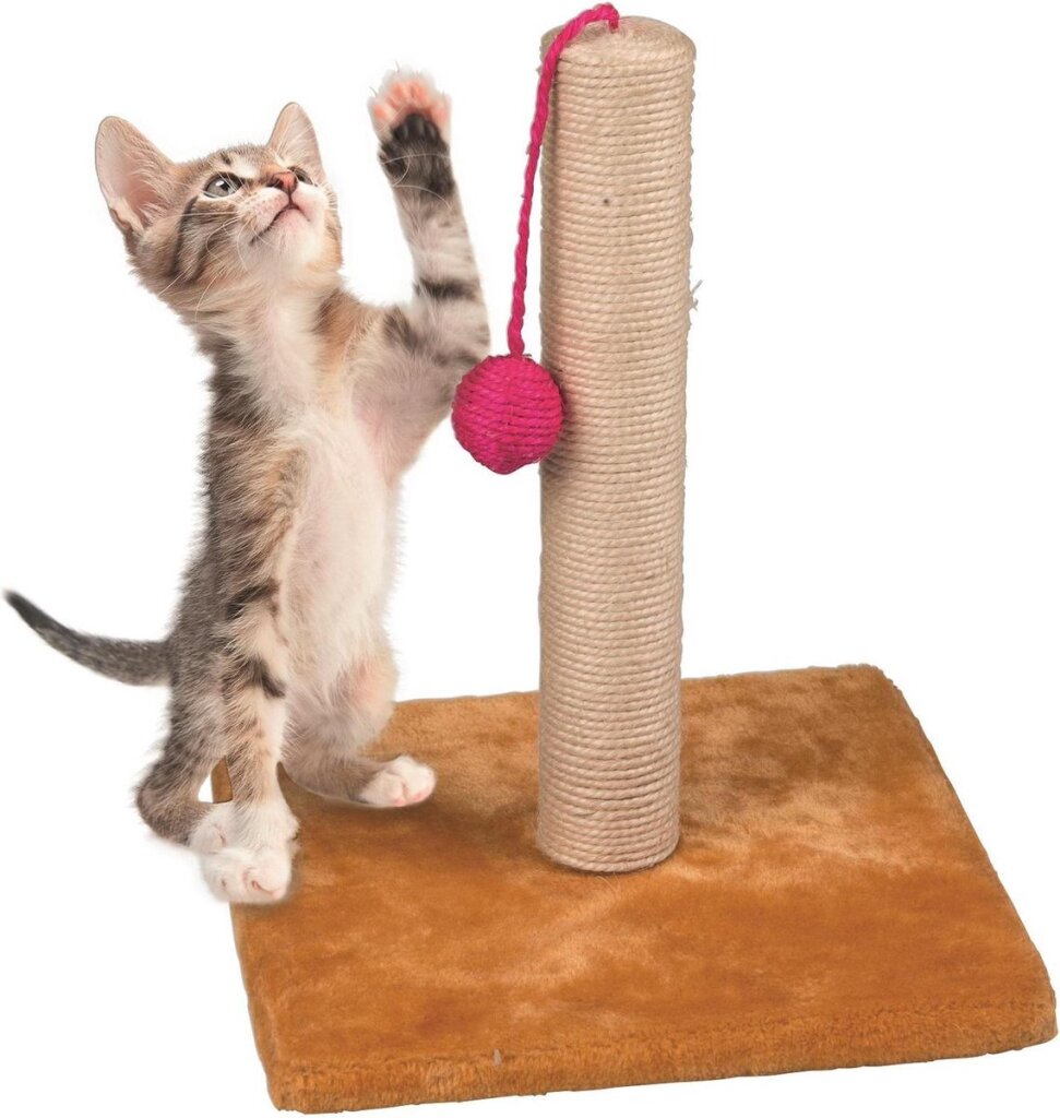 Maxxpro Pet Toys Kratzbaum mit Holzkugel 30 x 35 cm