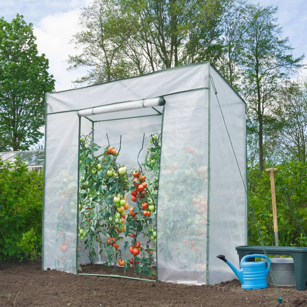 Naturtomaten -Gewächshaus 198x78x200 cm