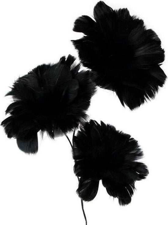 Geschenke Amsterdam Geschenke Amsterdam Federblumen auf 75 cm schwarz