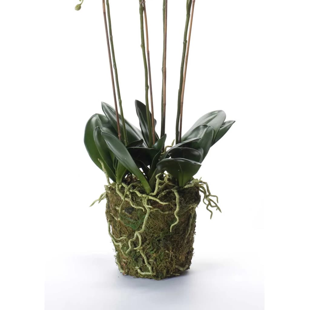 Emerald Art Plant Orchidee mit Moosweiß 90 cm 20.35555555