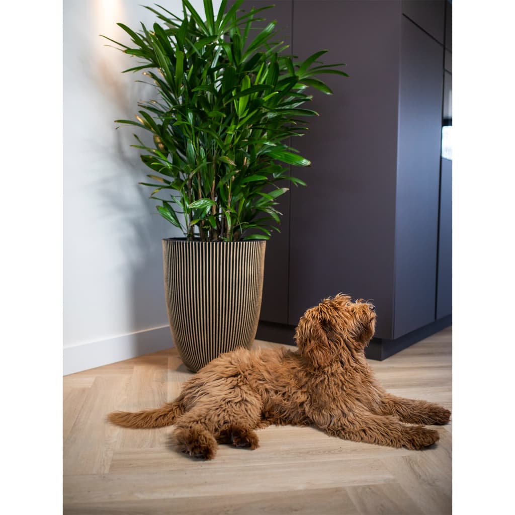 Capi Flowerpot Groove elegant 46x58 cm schwarz und goldfarben