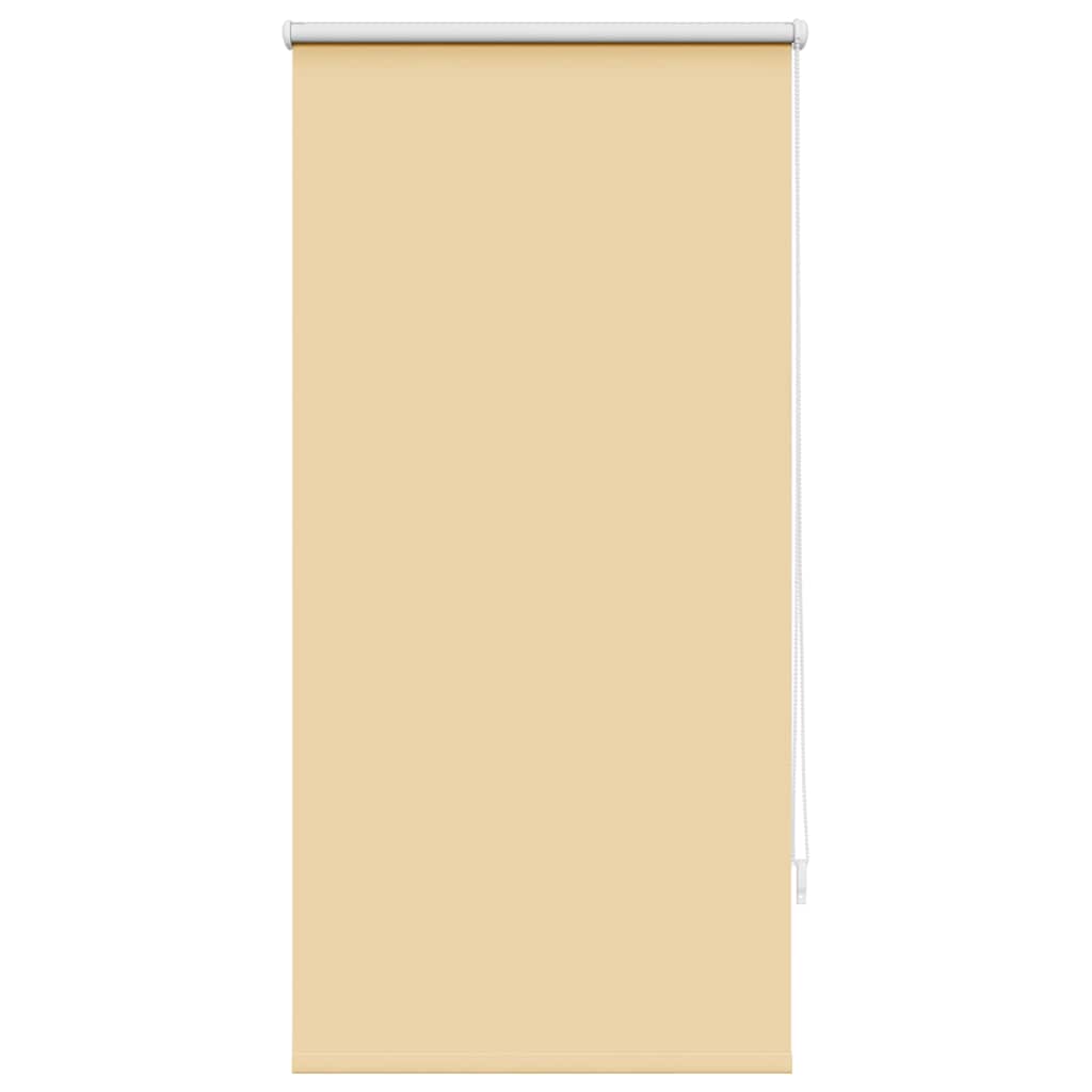 Vidaxl Verdunkelungsrollo 60 x 120 cm Beige