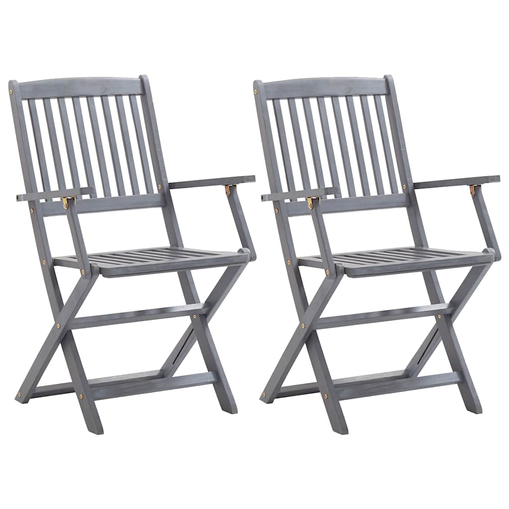 Vidaxl tuinstoelen inklapbaar 2 st massief acaciahout