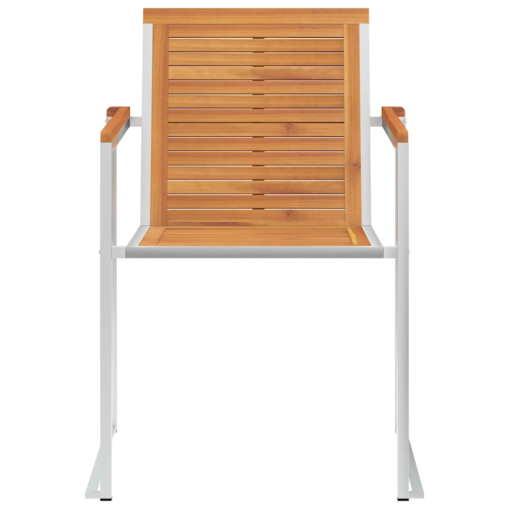 Vidaxl tuinstoelen 2 st massief acaciahout en roestvrij staal