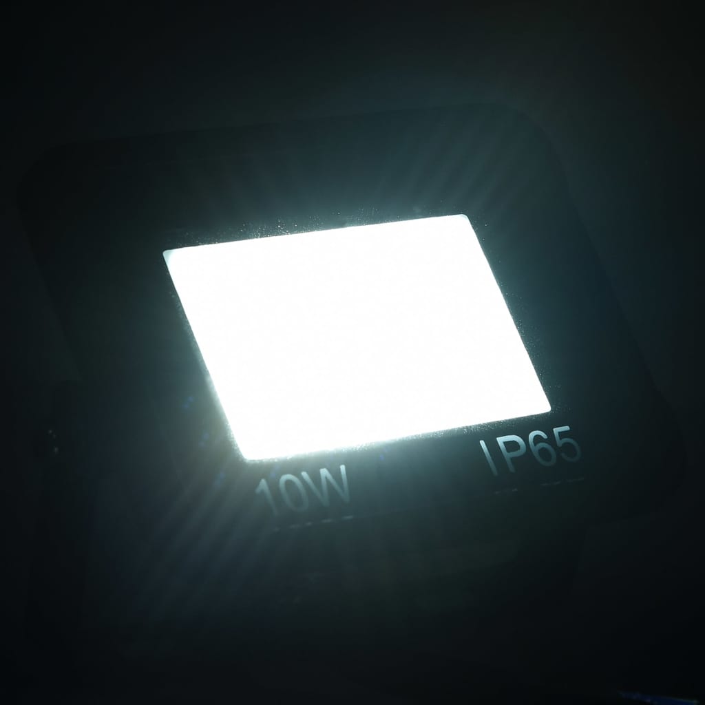 Vidaxl Spotlight LED 10 W Kalt weiß