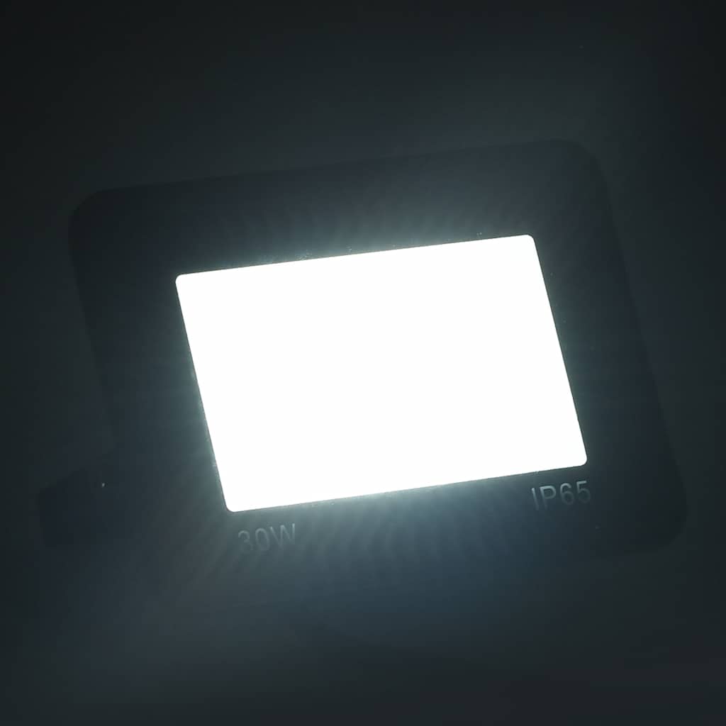 VidaXL Strahler 2 Stück LED 30 W kaltweiß