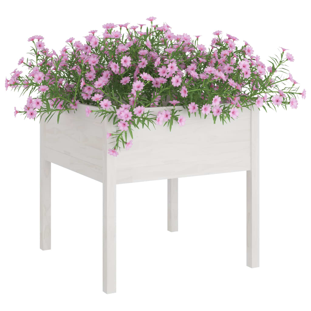 VIDAXL -Pflanzer 2 ST 70x70x70 cm Festkiefer weiß