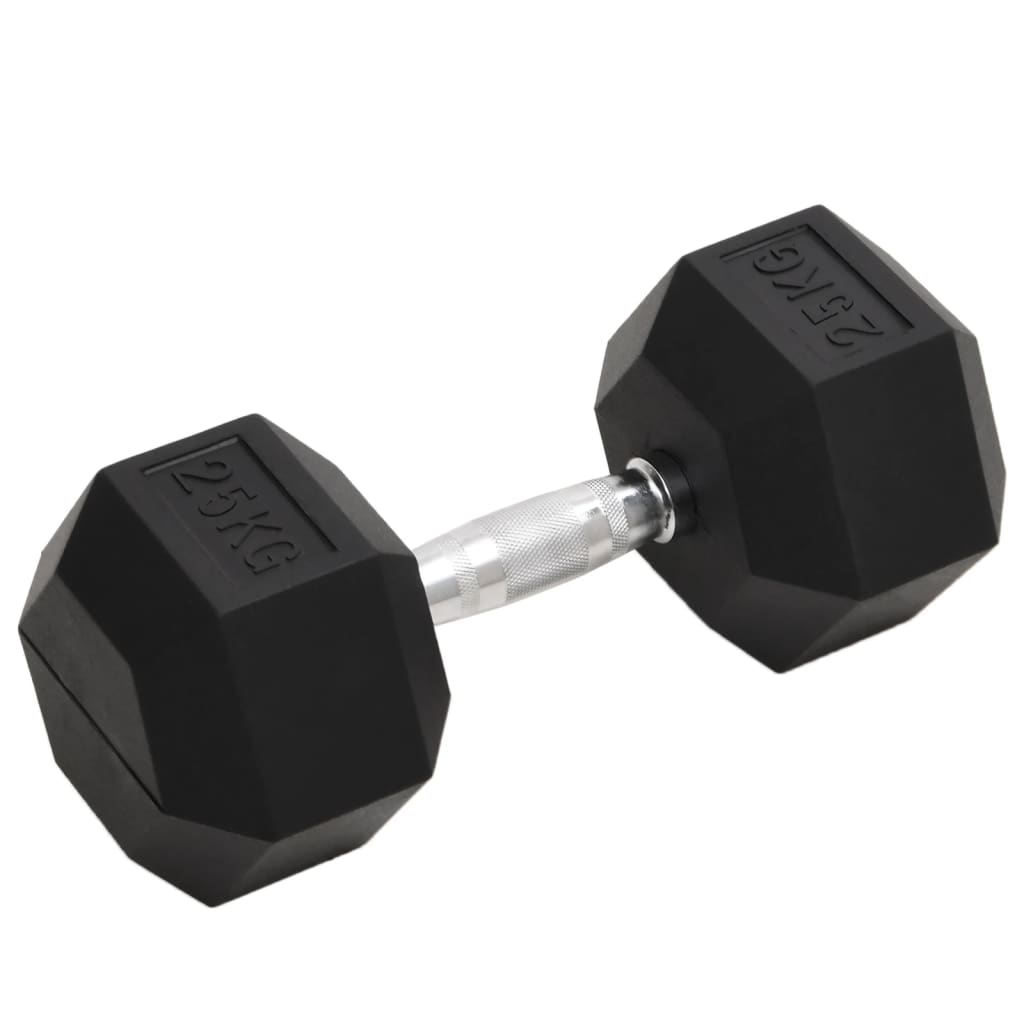 Vidaxl Halter 25 kg Gusseisen