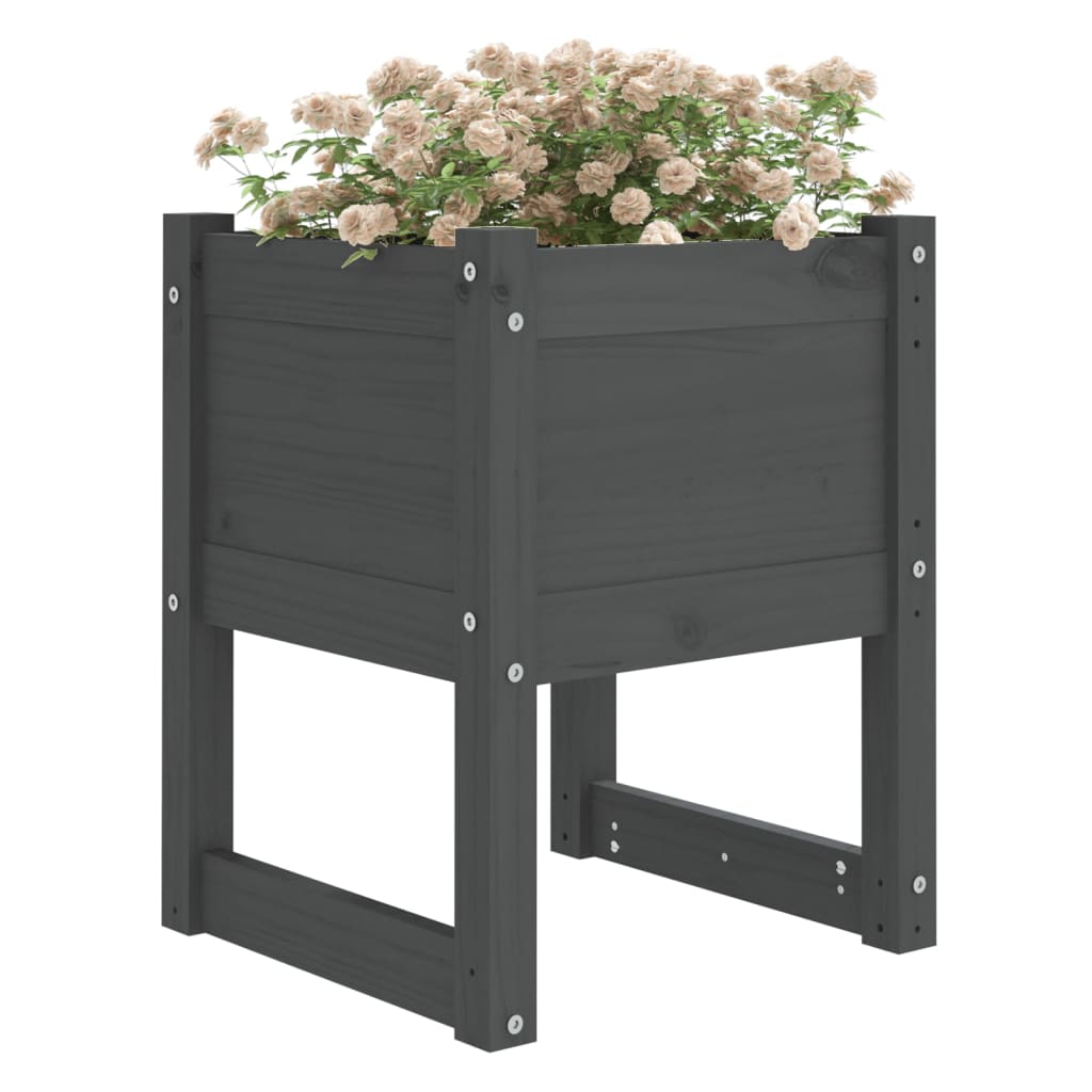 VIDAXL -Pflanzer 2 ST 40x40x52,5 cm Festkieferngrau grau grau