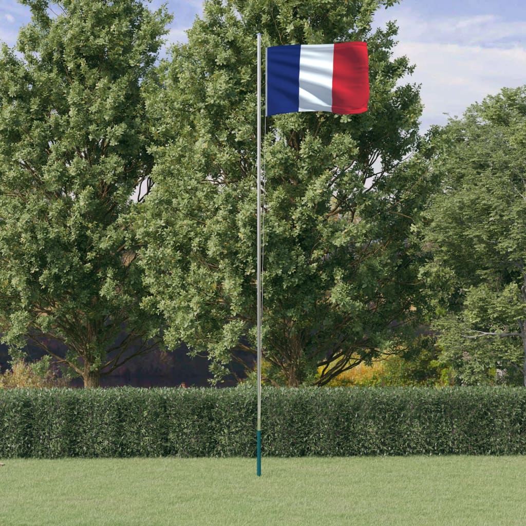 VidaXL Flagge mit Fahnenmast Frankreich 6,23 m Aluminium