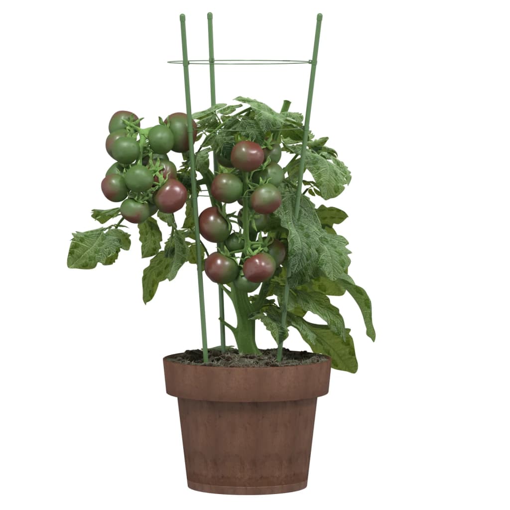 Vidaxxl Pflanzenstützen 5 Stück mit 3 Ringen 45 cm Stahl grün