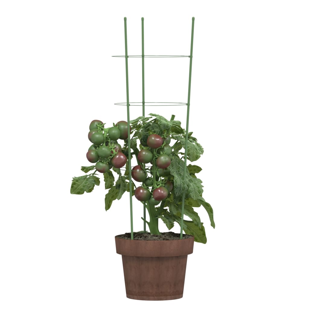 VidaXL Pflanzenstützen 5 Stück mit 3 Ringen 60 cm Stahl grün