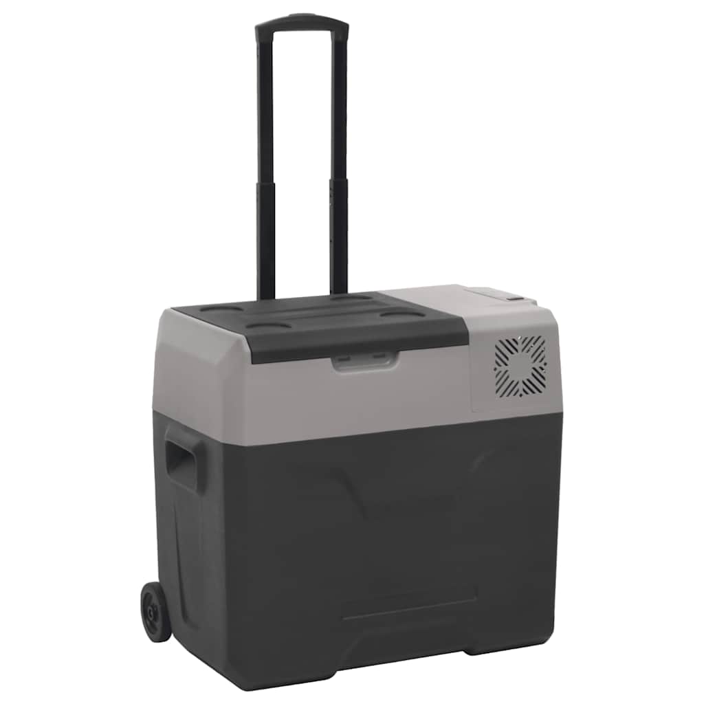 Vidaxx Kühlbox mit Rollen und Griff 40 l Polypropylen schwarz und grau