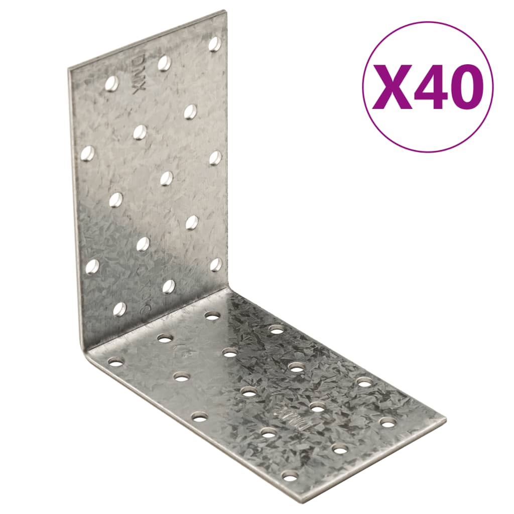 Vidaxx Eckwinkel 40 Stück 2 mm 100x60x100 mm verzinkter Stahl