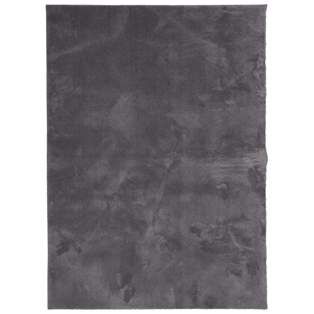 VidaXL Teppich Huarte Kurzflor weich waschbar 120x170 cm Anthrazit