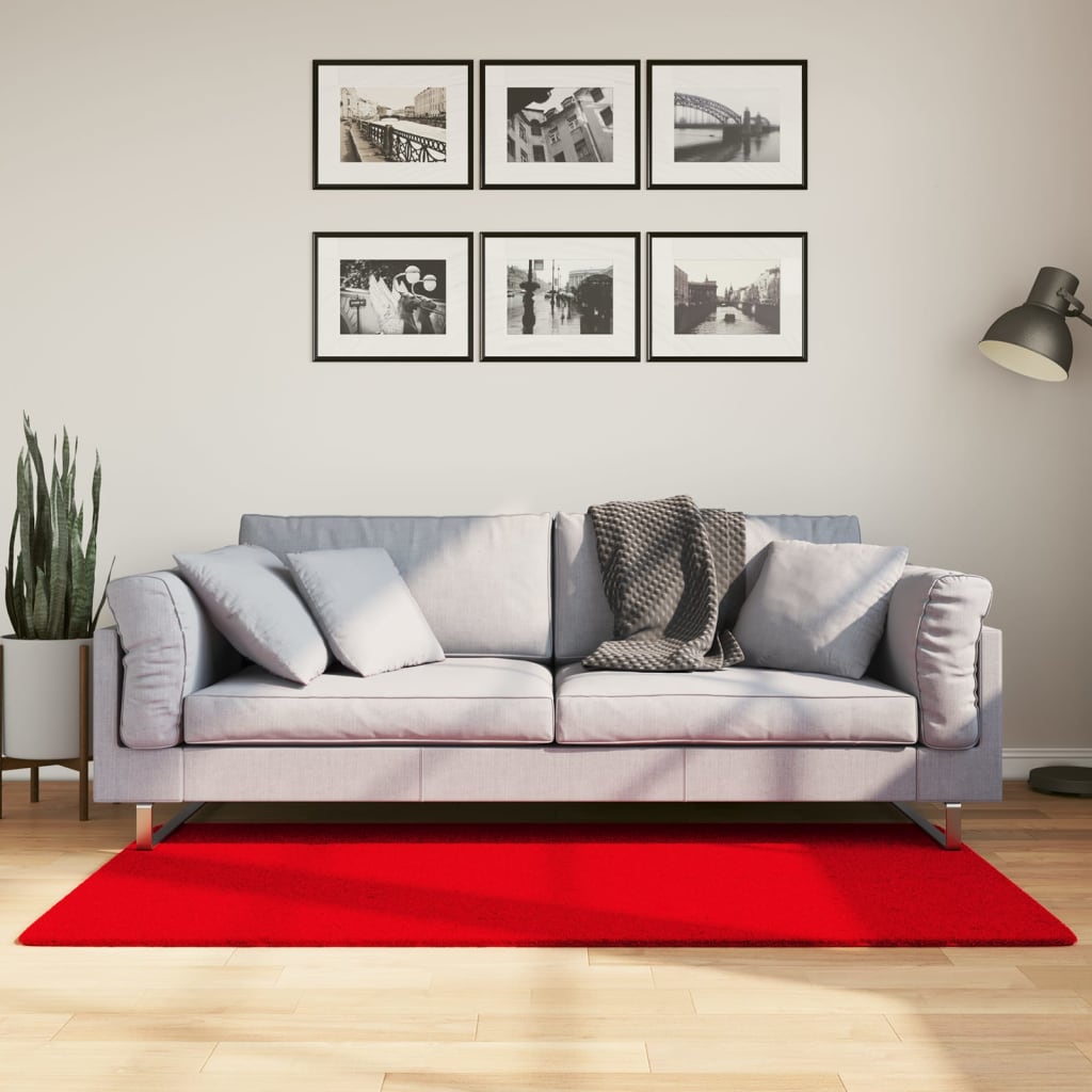 VidaXL Teppich Huarte Kurzflor weich waschbar 80x150 cm rot