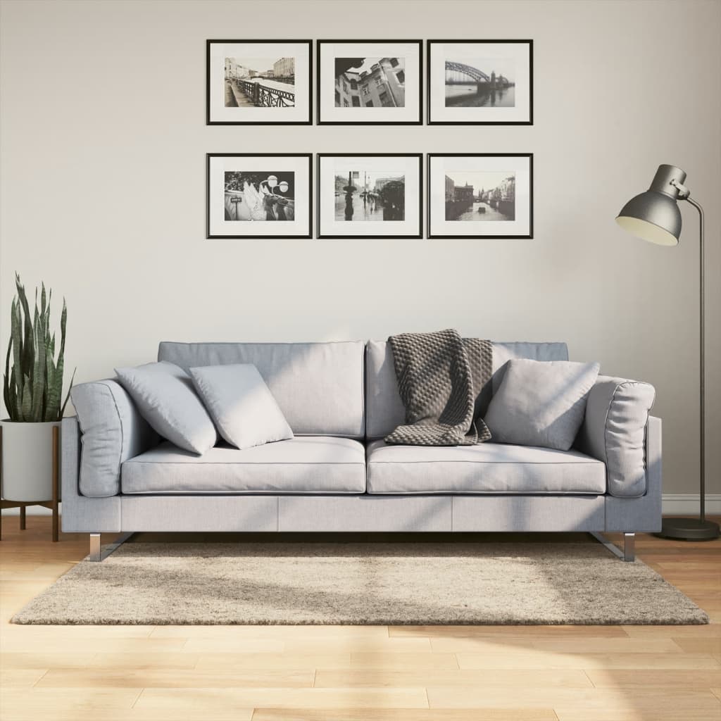 Vidaxl Teppich istan Hochflor glänzend 80x150 cm beige