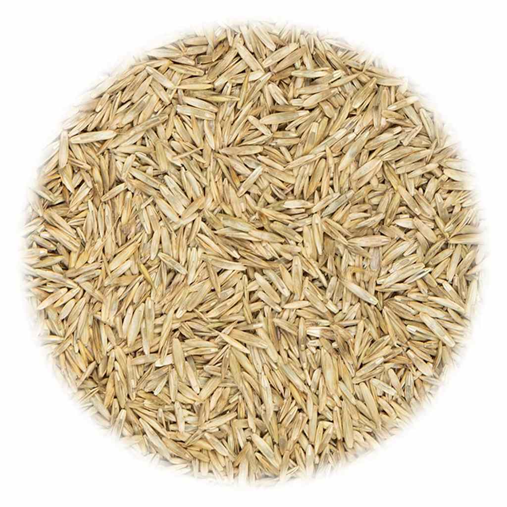 VidaXL Grassamen für Sport und Spiel 15 kg